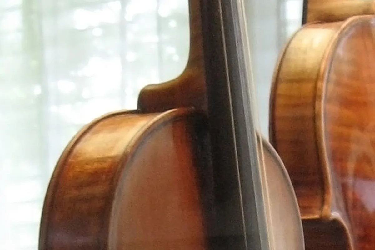 The profile of a Stradivarius violin showing its arching and scroll